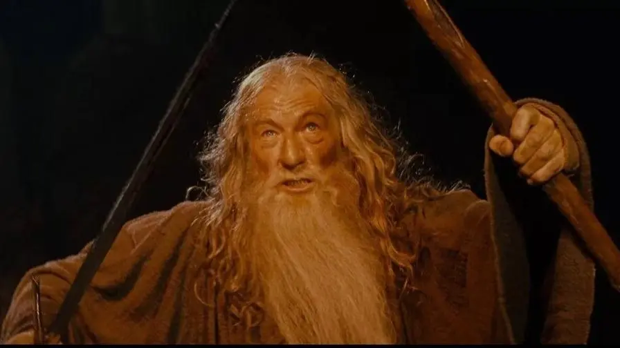 ELİTES SHALL NOT PASS-HAVOC 40-Beauty