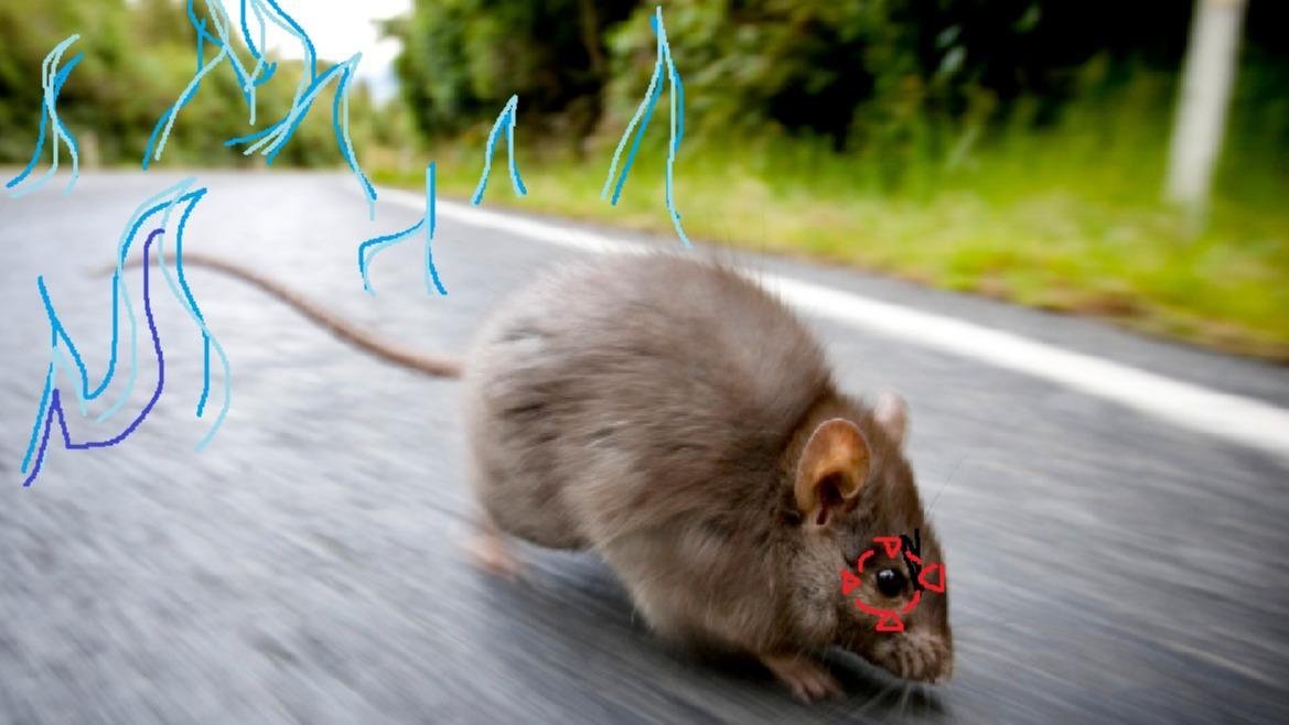 Psyker Rat