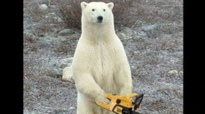 Martyr eviscerator zealot