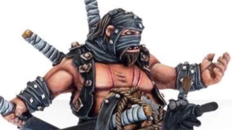 Ogryn Ninja
