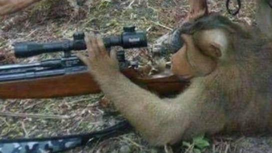 ДЦП-Пьсукер:УльтраМили