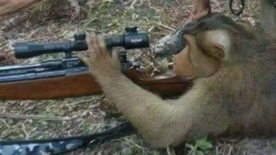 ДЦП-Пьсукер:УльтраМили