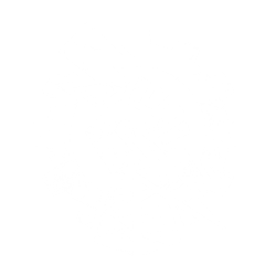 Skitarii
