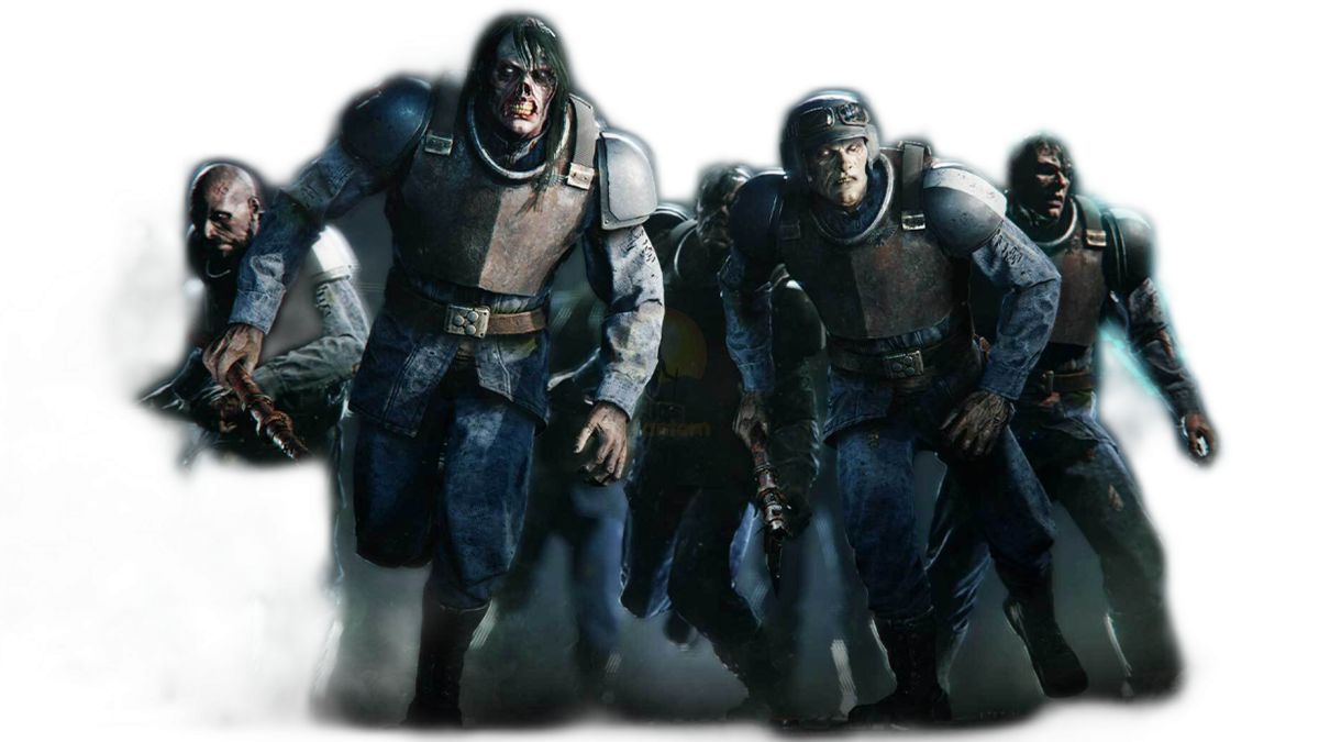 Header Image